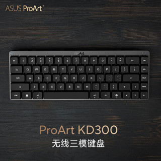 华硕 长效续航 无线键盘  光轴 黑色 RGB