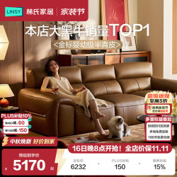 林氏家居 客厅沙发2026年新款意式极简大黑牛半青皮沙发家具PS289