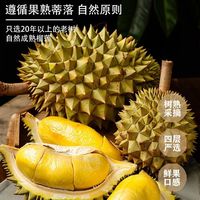 农风时代 金枕榴莲 新鲜带壳整果