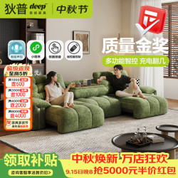 狄普 电动功能拖床防猫抓绒布沙发带倒翻边几遥控语音多功能沙发清曜座