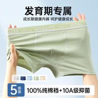 芬腾 100%纯棉裆 男童内裤