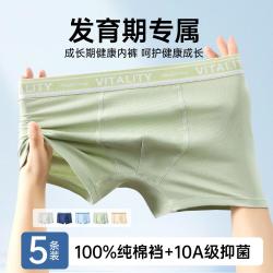 芬腾 100%纯棉裆 男童内裤