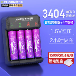 德力普 3400mWh大容量 5号锂电池+充电器