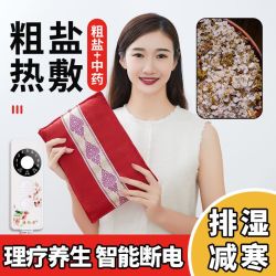 俞兆林 粗盐热敷包小盐袋电加热家用理疗暖宫艾草艾灸颈肩腰腿腹疼