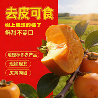 滇老头 保山甜柿云南甜脆柿子苹果脆柿去皮食用日本甜柿精选3-8斤礼盒