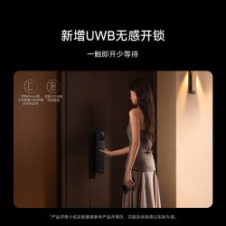 小米 5Max内外双摄 智能门锁