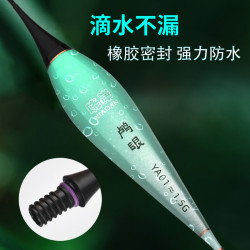 塞北狼硬尾夜光漂重力感应电子漂超亮夜钓浮漂鲫鱼漂日夜两用