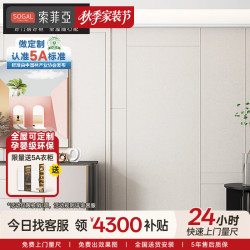 索菲亚 木门隐形门套餐 全屋定制家具平板背景墙现代简约实木复合门暗门 定制金