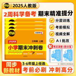 2025新版小学期末冲刺卷三四五六年级人教版期末试卷卷霸
