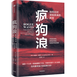 疯狗浪 企业应对颠覆性的指南 乔纳森布里尔著 增长财务工作安全