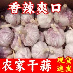 干蒜河南大蒜头白紫皮新鲜干蒜农家土蒜优质农产品产地直发批发