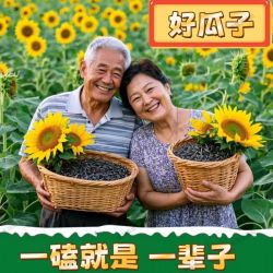 大颗500g焦糖味山核桃味原味净重葵花籽瓜子营养香脆零食炒货年货