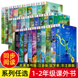 彩图注音 海底两万里 稻草人假如给我三天光明