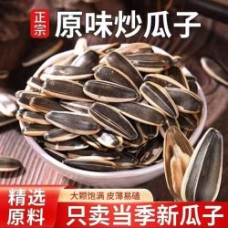 2026新货原味熟瓜子 精选内蒙古中颗粒葵花籽皮薄好磕办公室零食