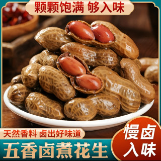 带汁卤煮花生带壳五香盐水花生香辣花生下酒菜夜宵