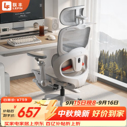 联丰 E-100S人体工学椅按摩电脑椅办公椅子座椅电竞椅