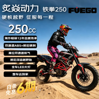 炙焱动力TEKKEN铁拳250 燃油摩托车前后ABS拉力越野性价比玩乐 26款红色