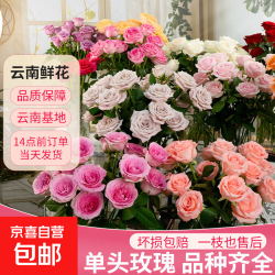 玫瑰鲜花云南基地直发居家水养插花七夕礼物送人 随机玫瑰30枝(2-3种颜色)40cm起