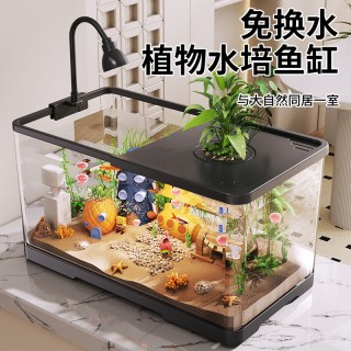宠乐享鱼缸小型客厅生态造景过滤制氧一体机2026新款带盖家用桌面金鱼缸 优雅黑【网兜款30.6x18.4x19.6cm