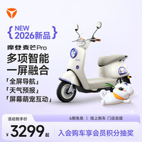 雅迪 摩登麦芒Pro 电动轻便摩托车 颜色到店自选