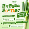 佳宝 章丘大葱风味酸奶 208g*8盒 泉城特色全家福四箱组合装