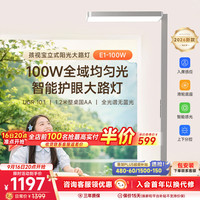 孩视宝 E1 全光谱红光护眼 100W 立式大路灯