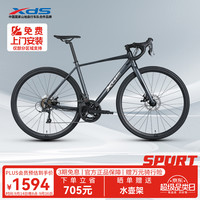 喜德盛 公路自行车2025款RC300碟刹走线车架 16速 灰黑色 520MM 灰黑色 16速