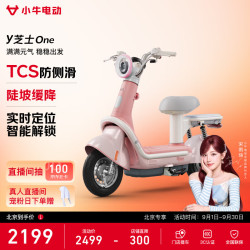 小牛电动 Y芝士One 48V铅酸电池 电动自行车