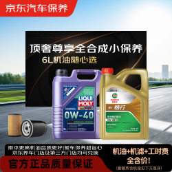 京东 全合成机油 小保养 6L