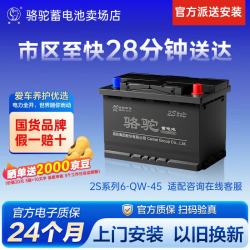 骆驼 6-QW-45 12V45AH 汽车蓄电池