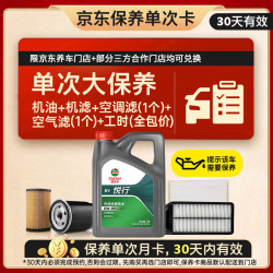 嘉实多 大)保养单次卡 嘉实多悦行 全合成机油 0W-20 SP 4L 包安装 4L大保养单次卡 悦行 0W-20 SP