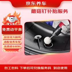 京东养车 汽车轮胎蘑菇钉补胎服务20/21寸普通轮胎