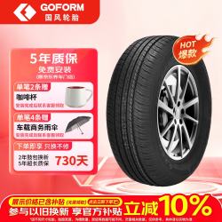 国风 GOFORM 汽车轮胎 185/60R15  G520  84H 适配新捷达/昕锐