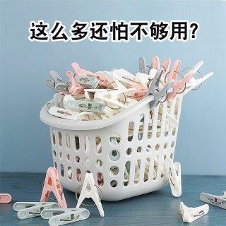 冇力 塑料夹子晾衣夹家用晾晒衣服防风单个小固定衣架多功能晒袜子 20只装