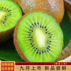 贵州 修文猕猴桃 50-70g*30枚