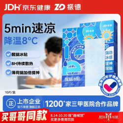 ZHENDE 军训运动降温贴夏季冰贴清凉贴降温散热贴 2盒