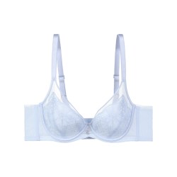 安莉芳 专柜新品蕾丝收副乳防下垂女文胸大胸显小薄款内衣EB01061