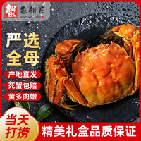 蟹叁钳庄 严选全母大闸蟹 去绳足重2.8-3.1两8只现货鲜活螃蟹中秋国庆礼盒