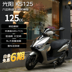光阳摩托 GOOSUN/光阳蛋业 大空间 踏板燃油摩托车