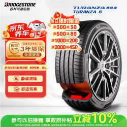 普利司通 汽车轮胎255/50R20 109V XL TURANZA 6 静音绵 配套奇瑞智界R7