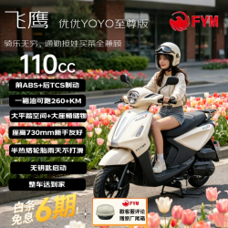 飞鹰 YOYO 踏板复古燃油摩托车 省油通勤灵巧性价比 象牙白至尊版 26款