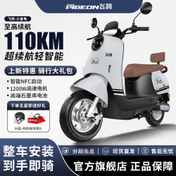 飞鸽（FG FLYING PIGEON）新款小龟王电动摩托车男女成人代步通勤长续航时尚踏板电瓶车 能量灰/骑行大礼包/前后鼓刹/速度50码 60.0V22.0A全新石墨烯电池/整车木架发货