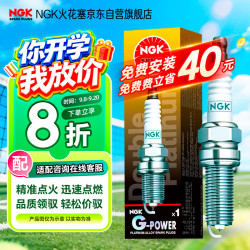 NGK 双铂金火花塞四只装起亚K2K3傲跑福瑞迪现代ix25瑞纳瑞奕朗动领动