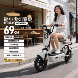 驰小虎 长续航 电动自行车 48V20Ah电池