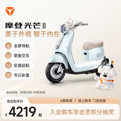 雅迪 摩登光芒二代 智能电动自行车