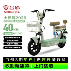 台铃 长续航 电动自行车  小锦鲤2026 铅酸电池 12-13Ah 48V