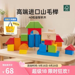 Hape 拼搭木质积木玩具婴幼儿童生日礼盒40粒彩虹积木E8321