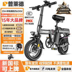 普莱德 RS7 电动自行车 48V10Ah锂电池 银黑色