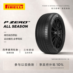 倍耐力 四季胎255/45R19 104W P Zero All Season