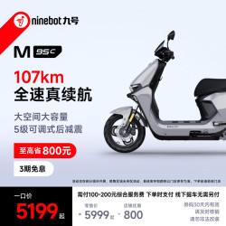 九号 远航家M95c 电动摩托车 JH1500DT-4